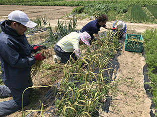 施設外作業例3枚目